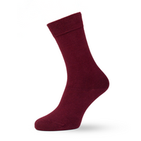 Sox2 in Tawny Port