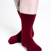 Sox2 in Tawny Port