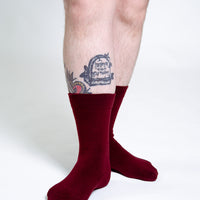 Sox2 in Tawny Port