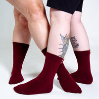 Sox2 in Tawny Port