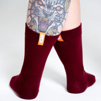 Sox2 in Tawny Port