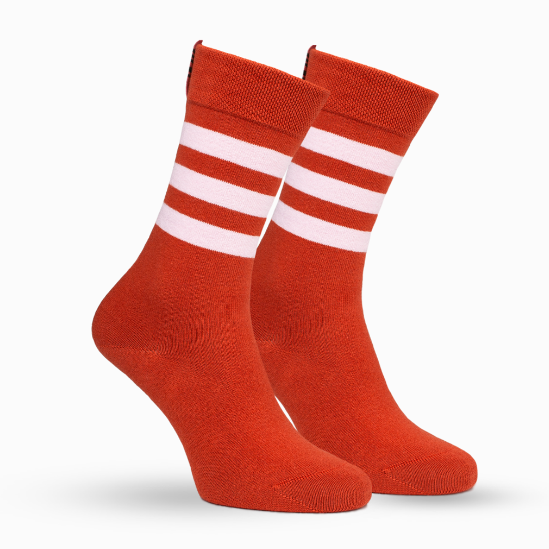⁠⁠Sox2 in Rust with Rose Stripe
