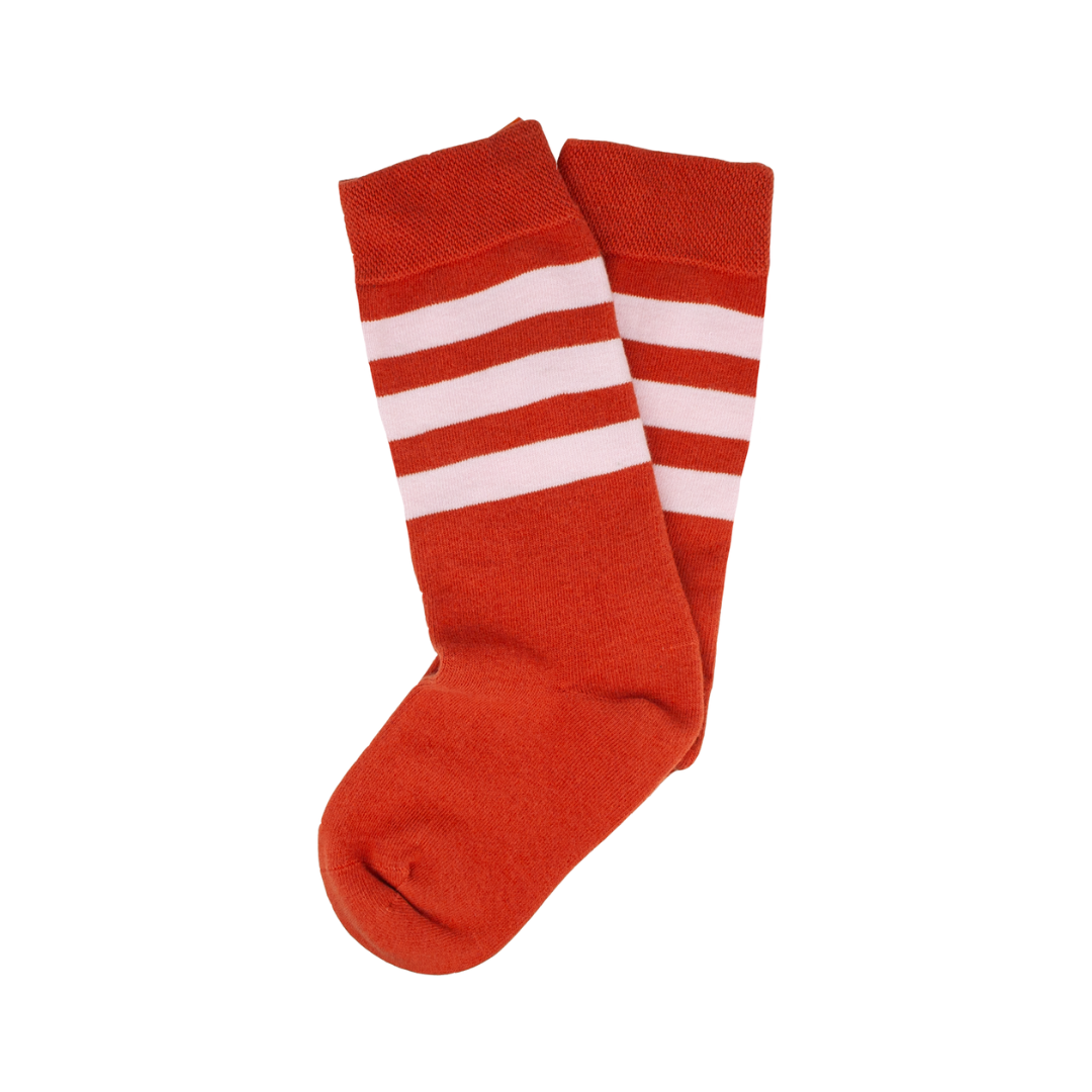⁠⁠Sox2 in Rust with Rose Stripe