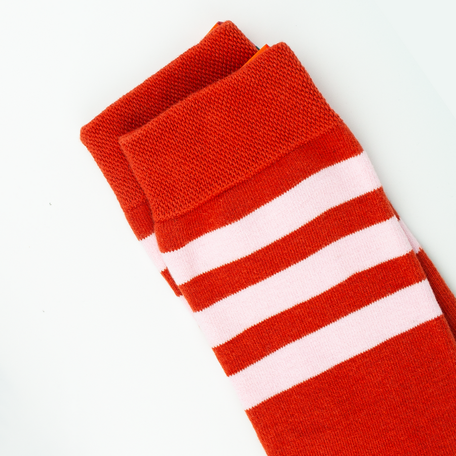 ⁠⁠Sox2 in Rust with Rose Stripe