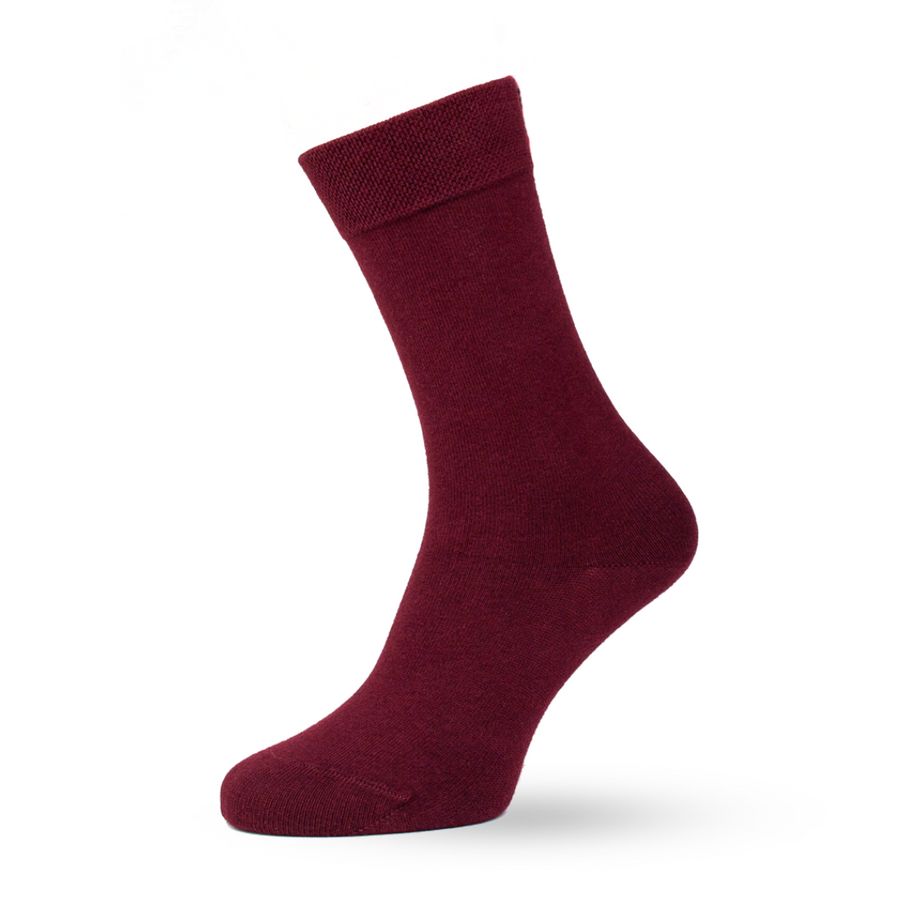 Sox2 in ⁠Tawny Port