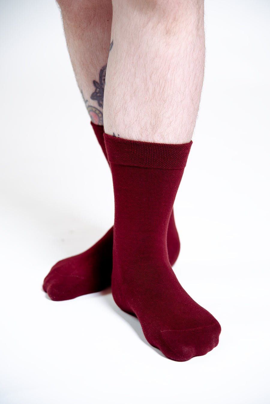 Sox2 in ⁠Tawny Port