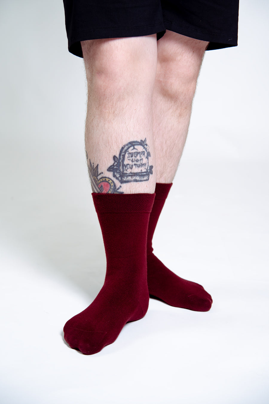 Sox2 in ⁠Tawny Port