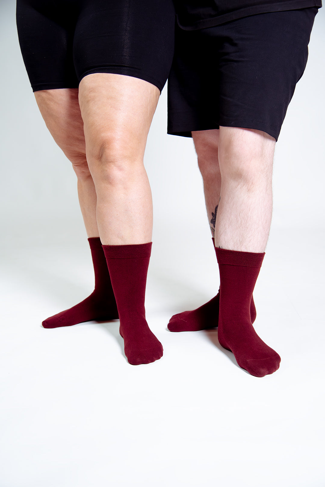 Sox2 in ⁠Tawny Port