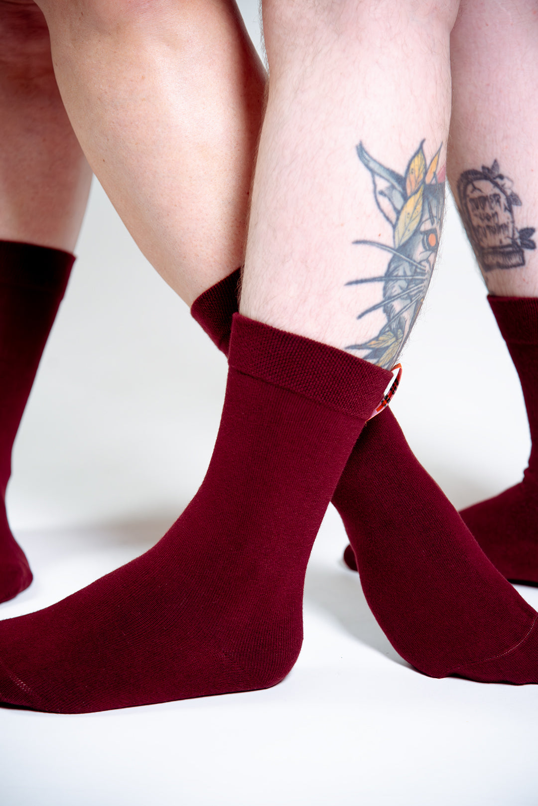 Sox2 in ⁠Tawny Port