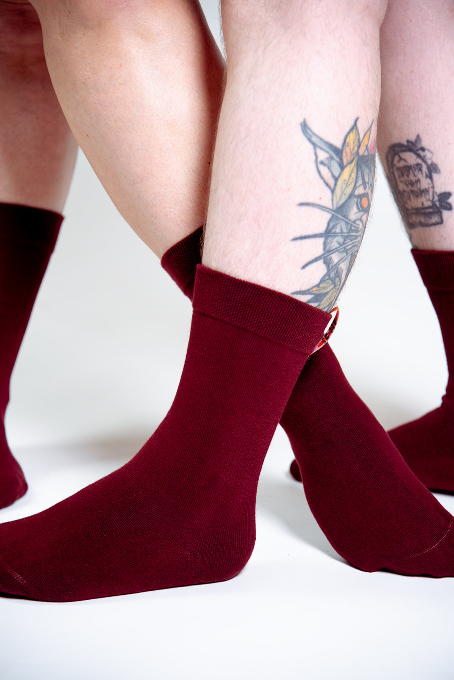 Sox2 in ⁠Tawny Port