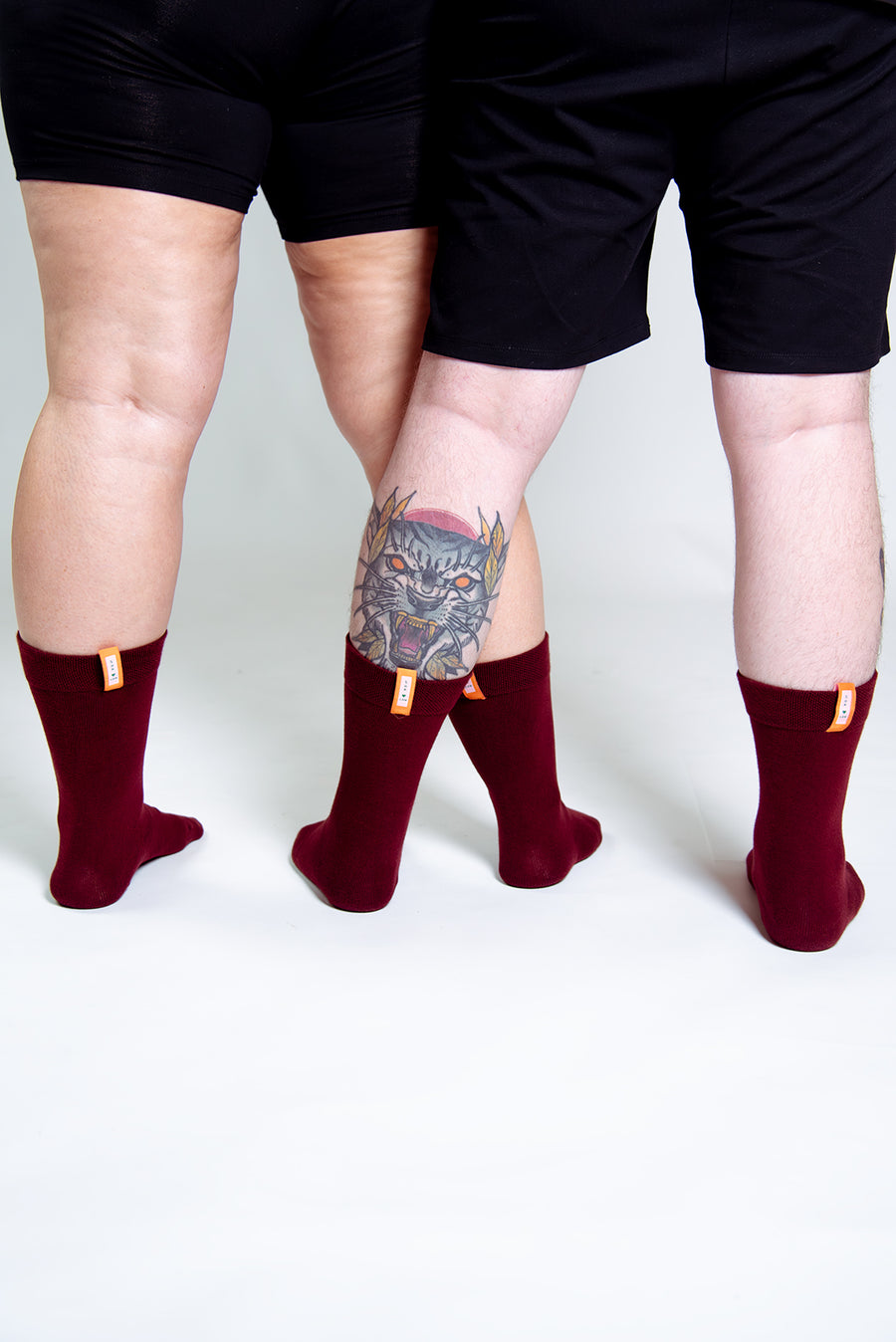 Sox2 in ⁠Tawny Port