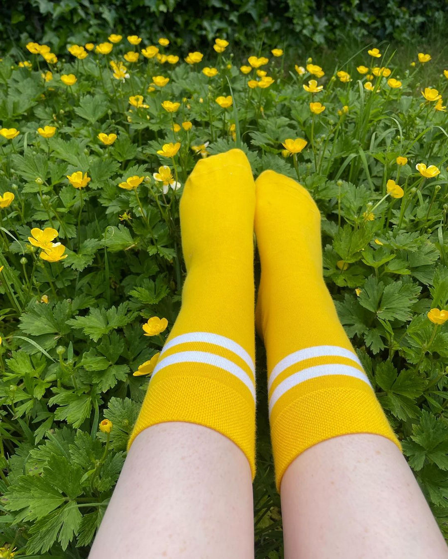 Sox in Dandelion Yellow